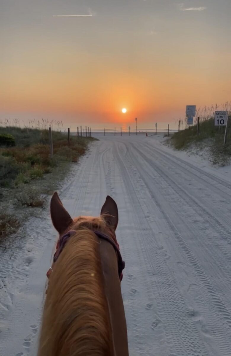 View from horseback on beach path, sunset over ocean in background.