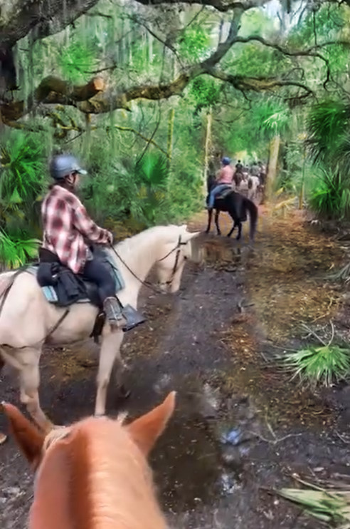 People riding horses on a forest trail, surrounded by trees and foliage.