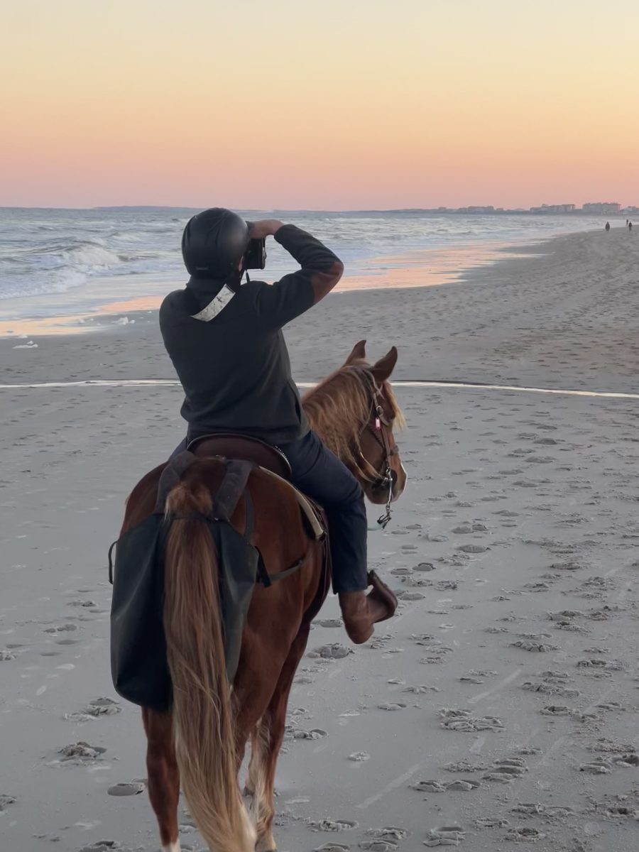 Person on horseback looking at the ocean on a sandy beach during sunset.