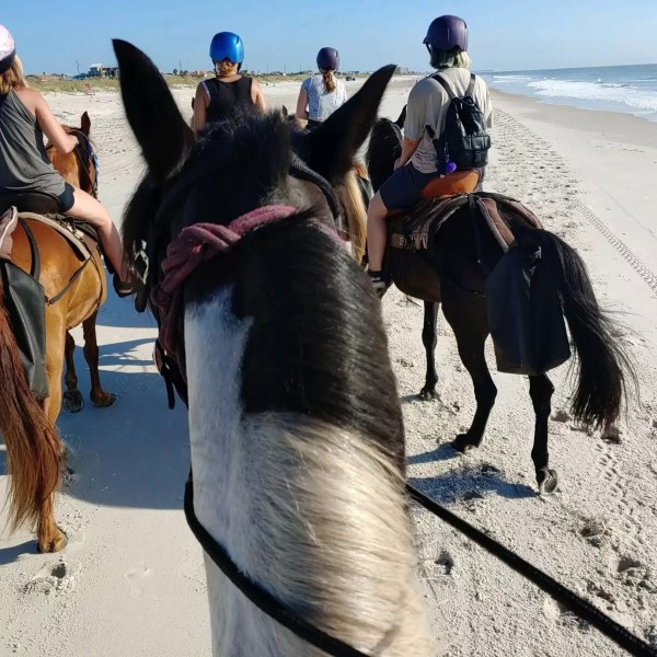 Group of people horseback riding on a beach.