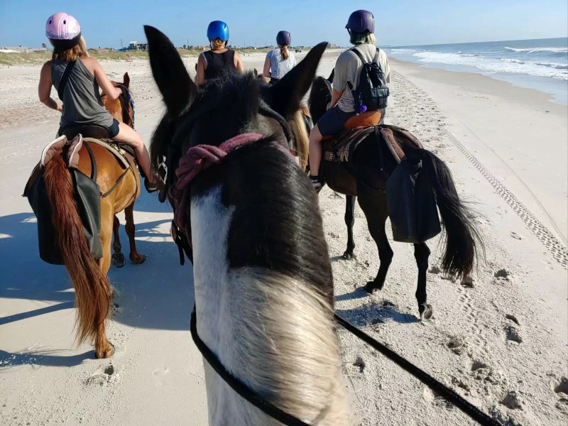 Group of people horseback riding on a beach.