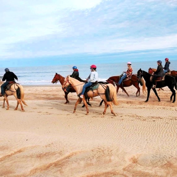 Group of people riding horses on a sandy beach with ocean in the background.