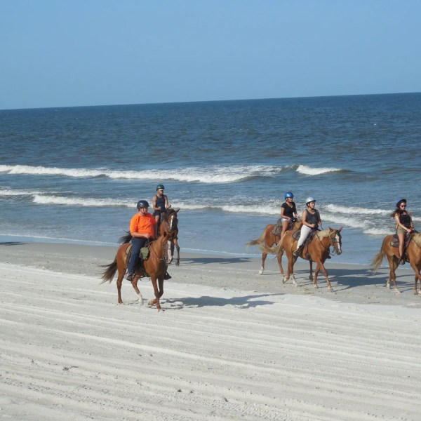 People riding horses on a sandy beach by the ocean under a clear blue sky.
