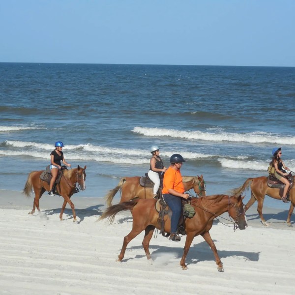 Four people riding horses along the beach with waves in the background.