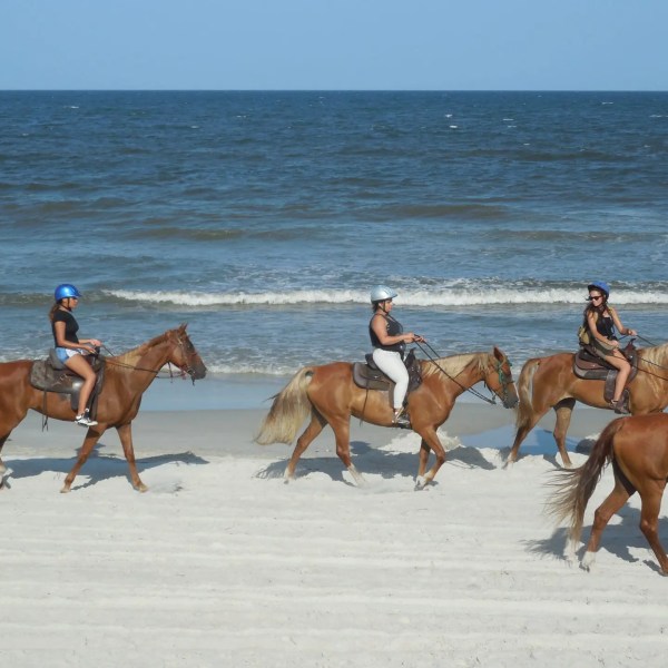 Four people riding horses along a sandy beach with waves in the background.