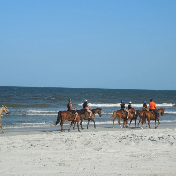 Group horseback riding on a sandy beach along the ocean.