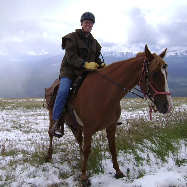 Person on horseback in snowy mountain landscape, wearing helmet and jacket.