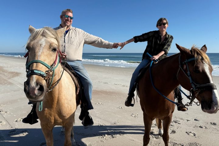 Two people on horses hold hands on a sunny beach with the ocean in the background.