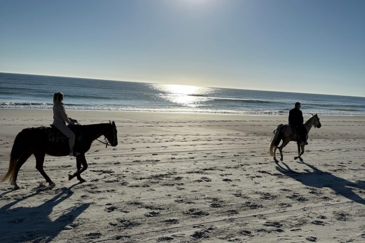 Two people horseback riding on a sunny beach with ocean in the background.