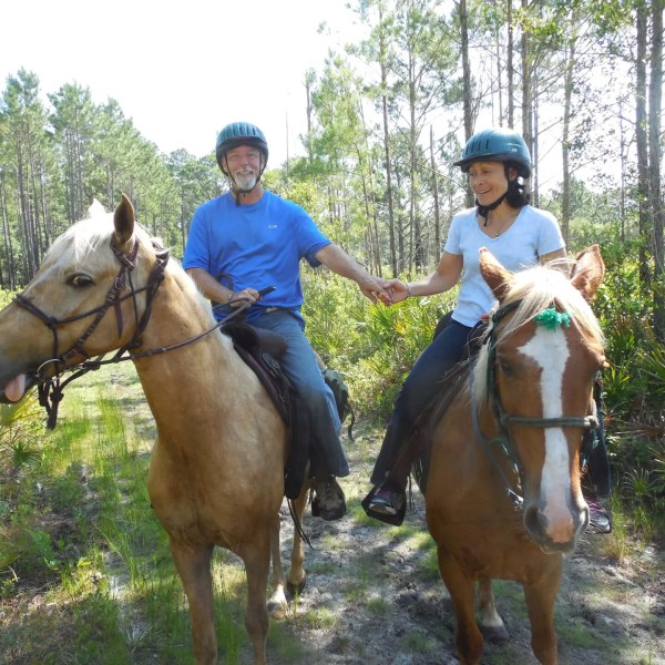 Two people holding hands while riding horses in a forest trail.