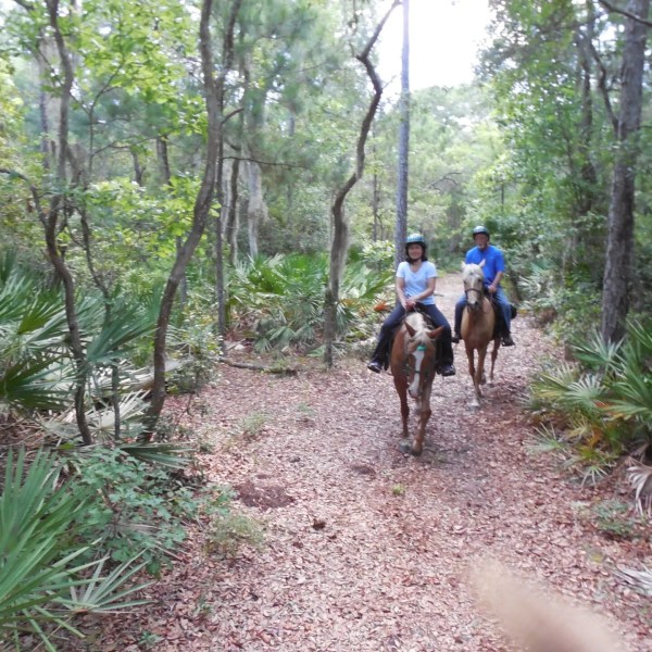 Two people horseback riding on a forest trail surrounded by greenery.