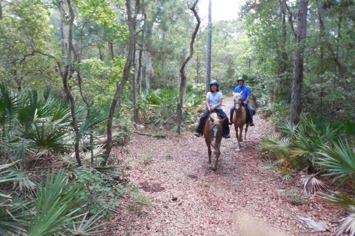 Two people horseback riding on a forest trail surrounded by greenery.