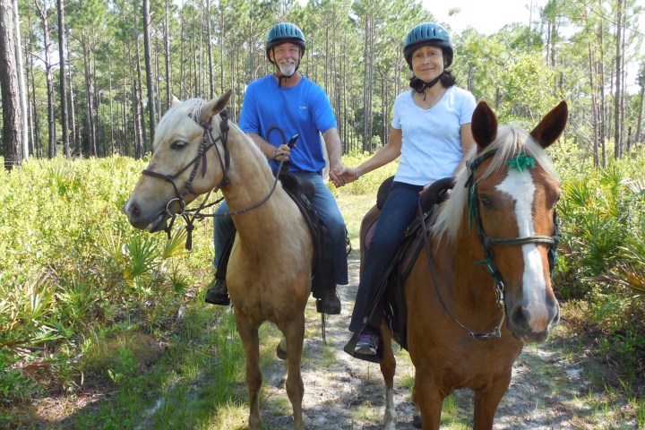 Two people on horseback holding hands on a forest trail, wearing helmets.