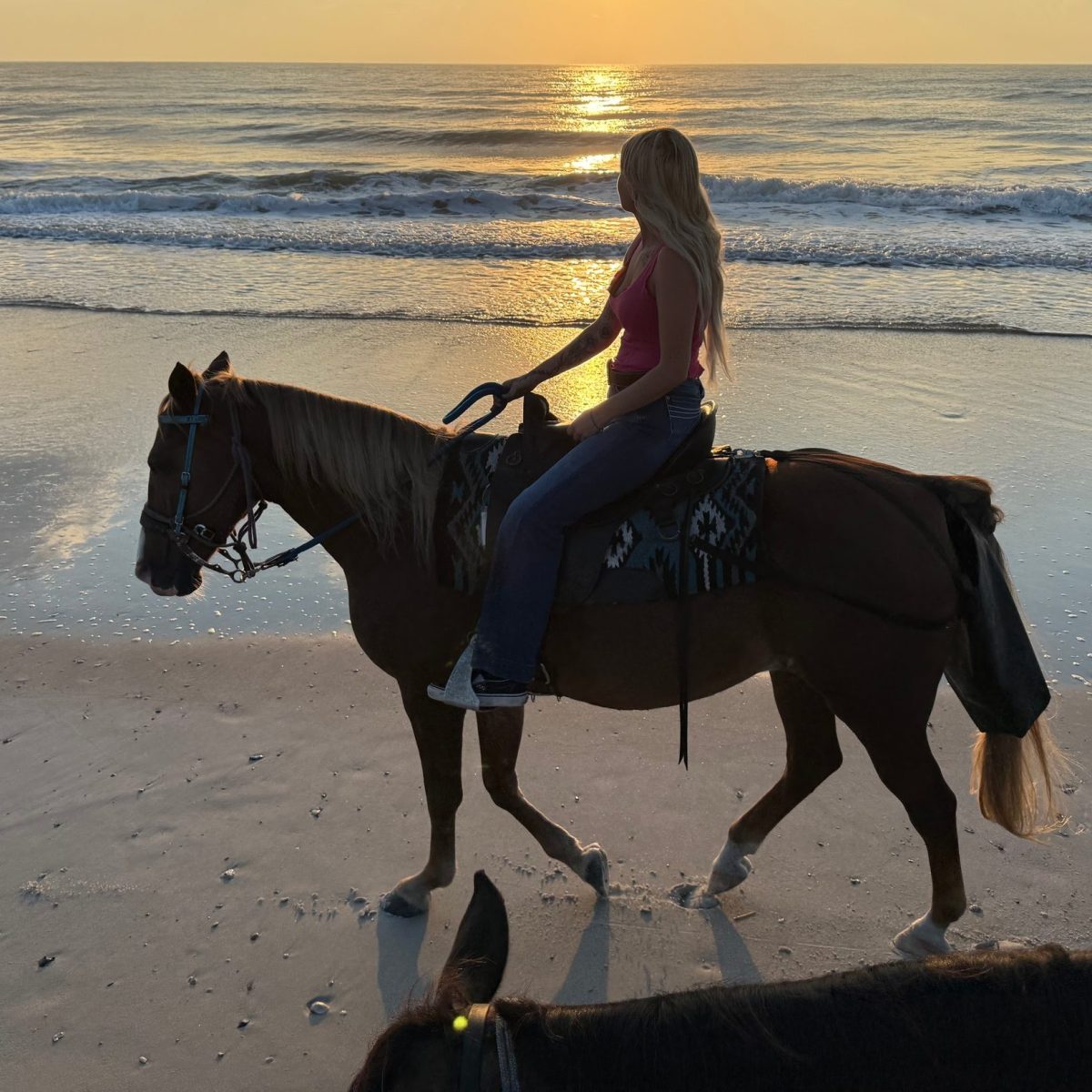 Person riding a horse on a beach at sunrise, with ocean waves and a cloudy sky.