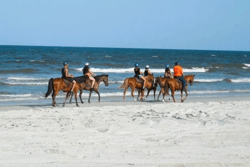 Group riding horses on a sandy beach by the ocean under a clear blue sky.