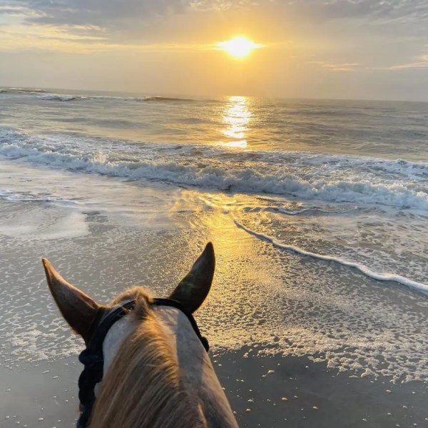 View from horseback of ocean waves and sunset on a beach.
